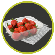 Bolha de Ar Agroalimentar_Embalsantos